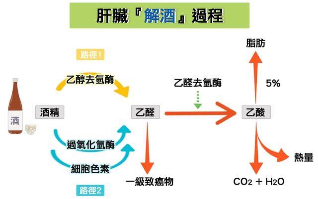 引领健康饮酒新时尚,澳洲解酒爆品打破传统认知