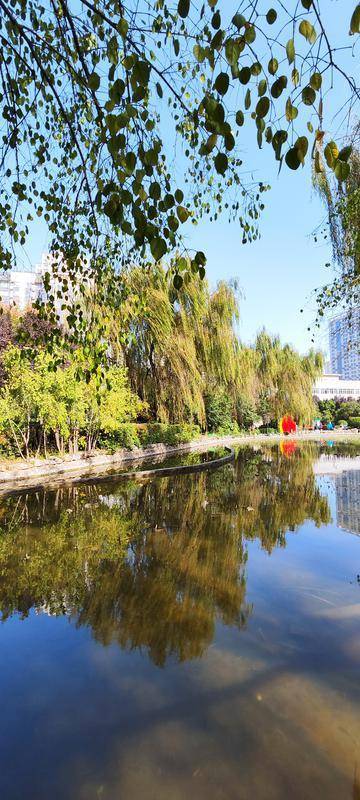 西安文景公园冬景宜人_窦翊明_美景_天气