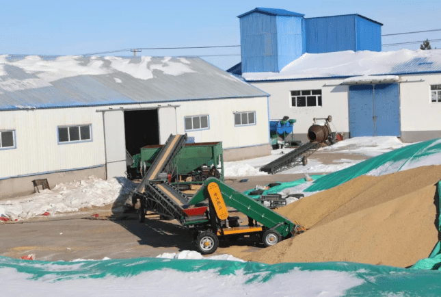 红五月农场:打造种子"加工厂",让冬闲变冬忙_大豆_品种_种植