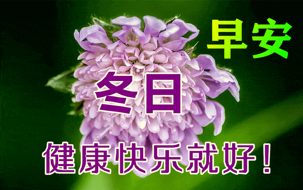 人生_生命_影响