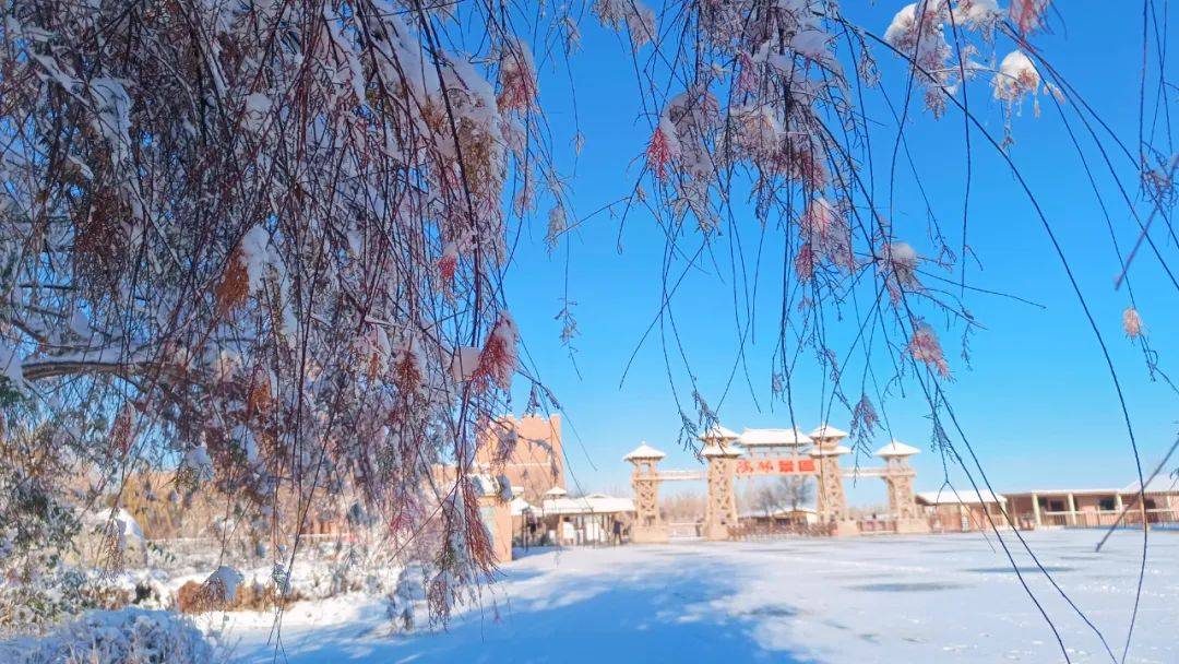 初冬的第一场雪来"敲门啦"!阳关绝美雪景邀您共赏!_初雪_满白雪_大漠