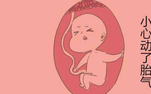 孕期动不动就"动胎气",到底动的什么?你知道吗?_妈妈_胎儿_影响