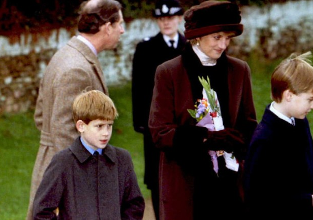 princewilliamslastconversationwithprincessdianadidnotjustr