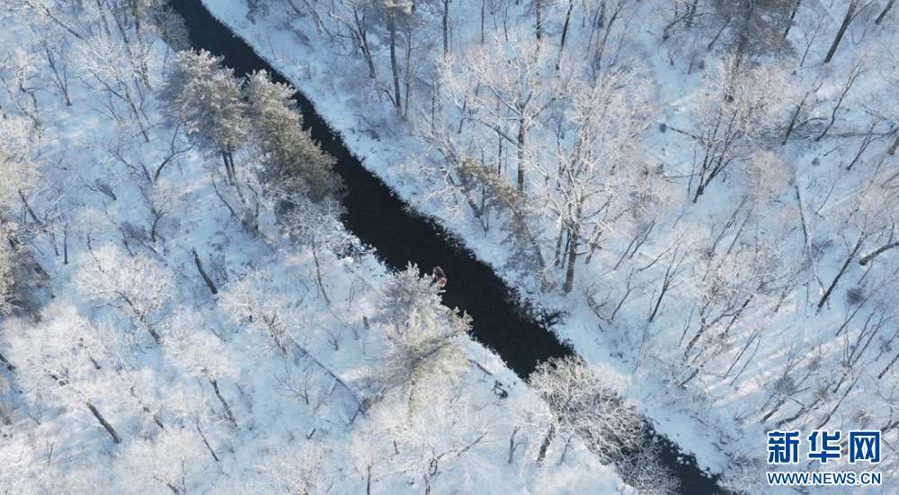 來來來!新雪季,長白山準備好了!_旅遊_冰雪_滑雪