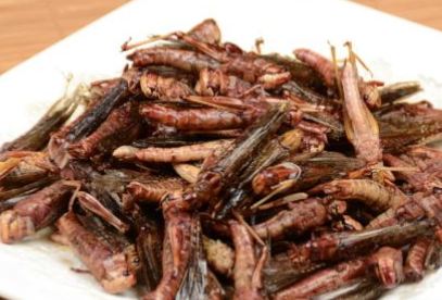 了一种美食,并且制作的方法也有非常多种,比如说蚂蚱烧汤,蚂蚱罐头