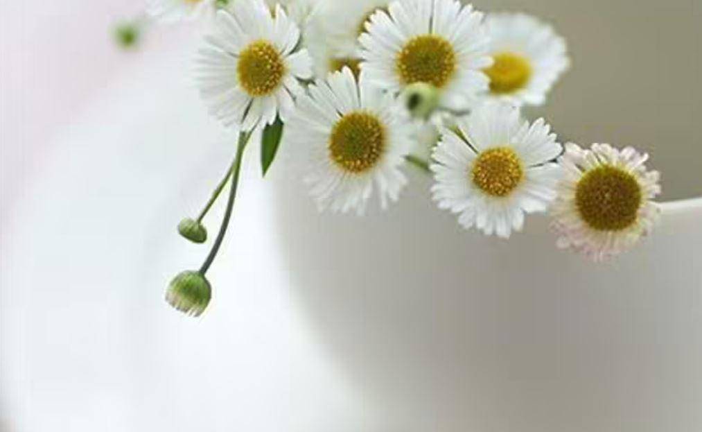 文/慕姐--01-我叫李依依,和老公结婚两年了,并迎来了我们爱情的结晶