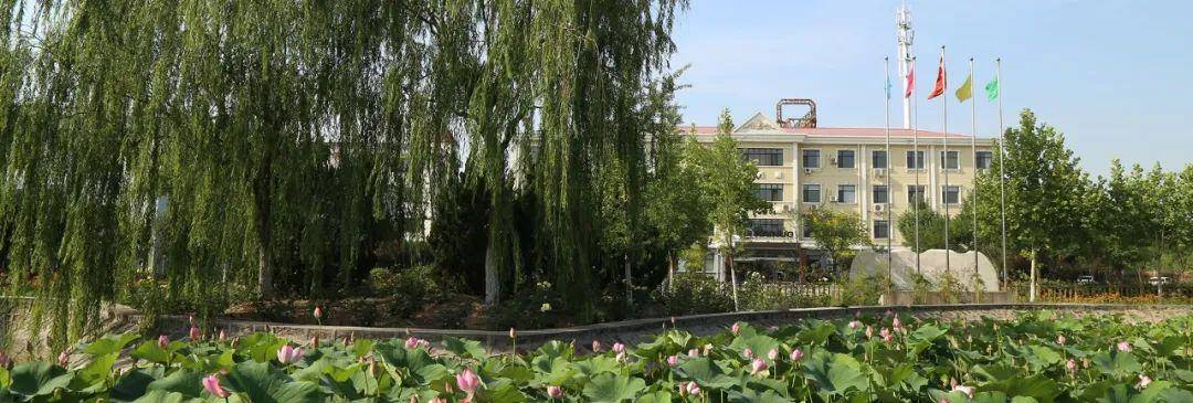 副会长单位 | 天津市凯诺实业有限公司_生产_认证_产品种类