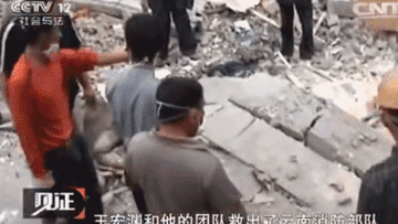 20年前的老片被顶上热搜，炸死功勋犬，导演还被夸“善良”？ 
