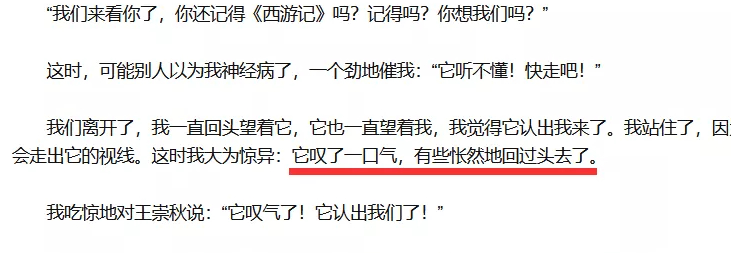 20年前的老片被顶上热搜，炸死功勋犬，导演还被夸“善良”？ 