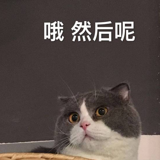 男童眼里捉出6条活虫！养猫养狗不做好这3件事，人宠最终都受苦