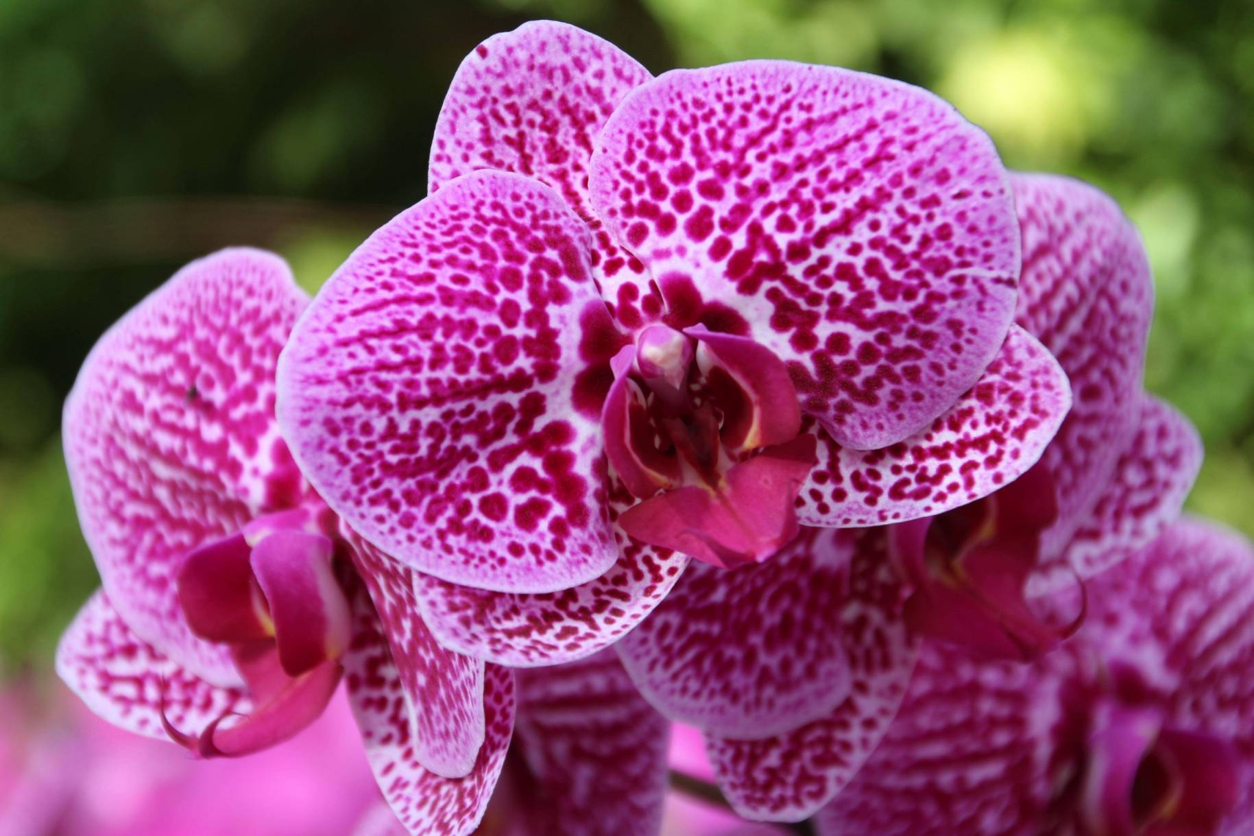 11月23号开始财运最旺，大吉大利，3星座好运势不可挡！_财富_日子_天秤座