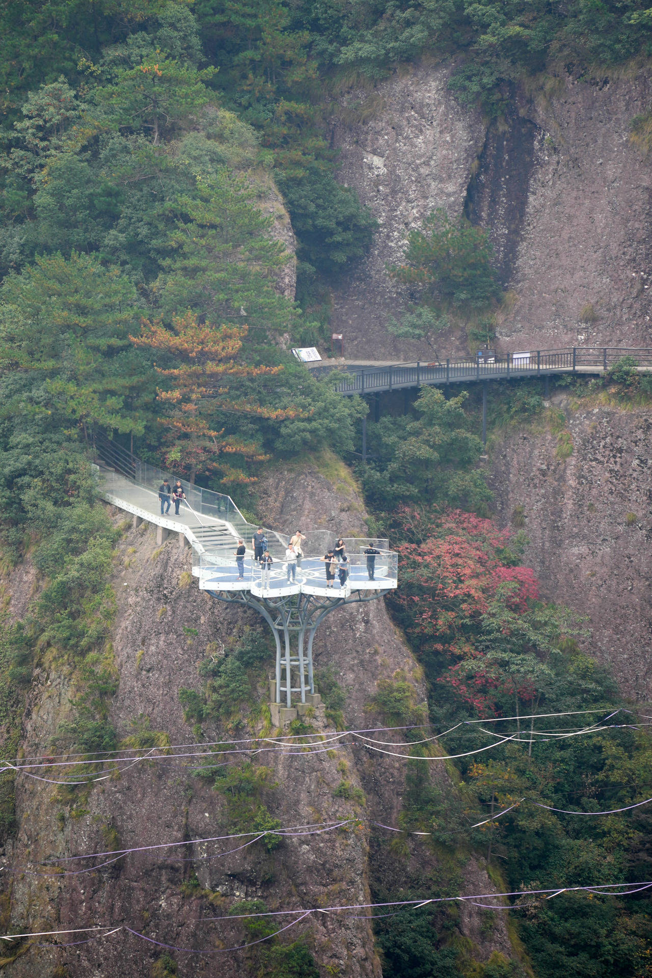 神仙居索道门票图片