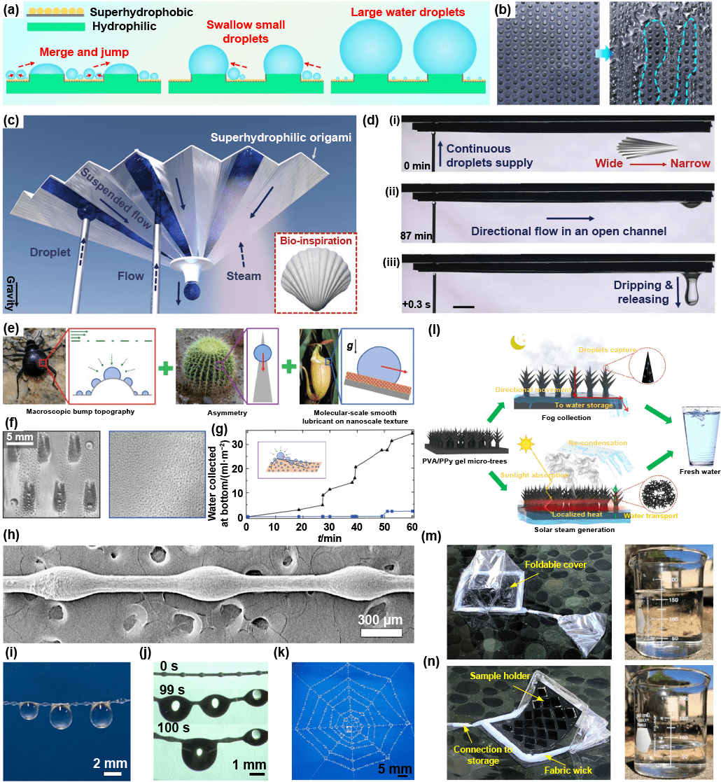 仿生特殊潤溼性宏觀陣列結構材料的最新研究進展—從表