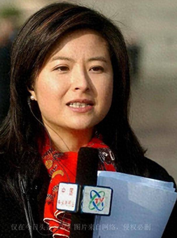 张泉灵:我这辈子做的正确的决定,就是为大18岁的高官丈夫生儿_娱乐