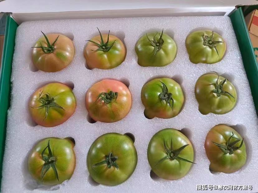 会严格一些,比如水质和土壤需要按照种植要求进行改良,采用熊蜂授粉