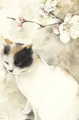 细数日本猫咪文化的前世与今生！爱猫的你，不可错过！ 