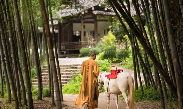 爱养多肉的释明心法师,两只大耳朵佛陀面相,走红后:我问心无愧_普安