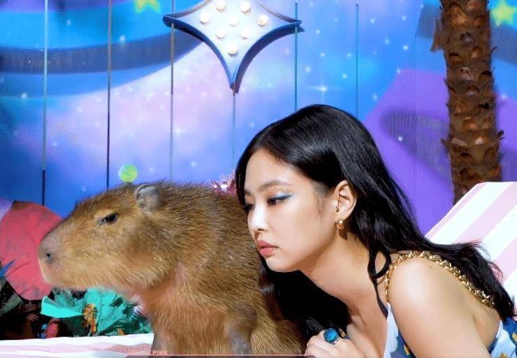 lisa更博晒mv花絮,lisa身材引热议,我却在留意jennie_姐姐_脸蛋_饺子