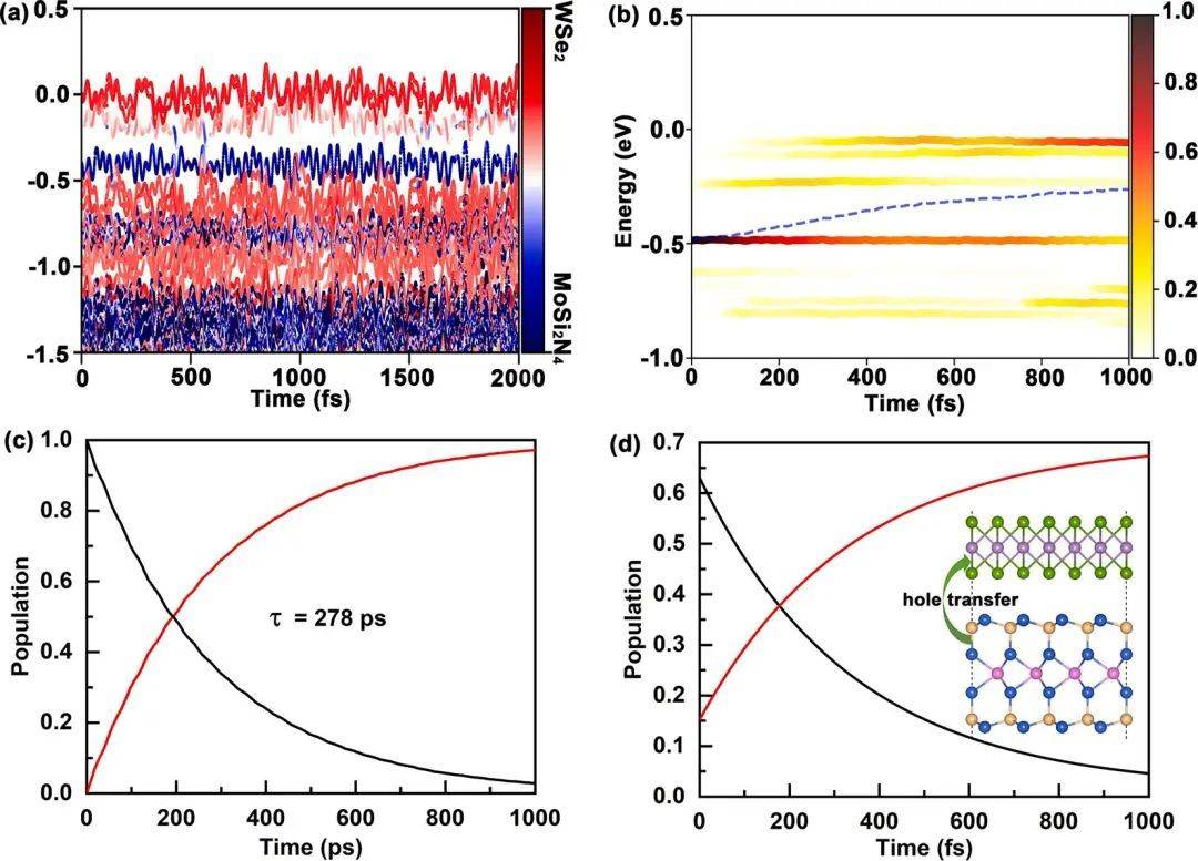 n4异质结动态载流子动力学虽然两个单独的单分子层和异质结构具有良好
