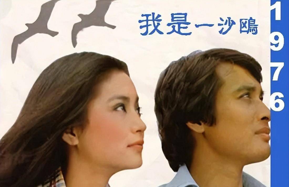 他们合作了两部电影,分别是《我是一沙鸥》和《我是一片云》.