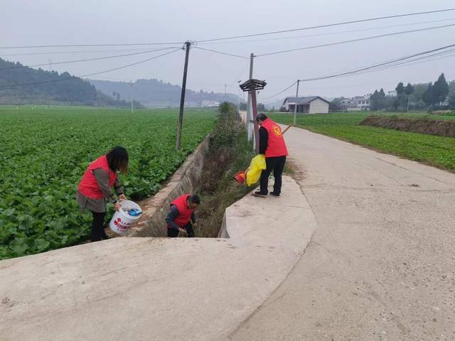 立新镇: 抓好人居"小环境" 提高农村"新颜值"_工作_整治_网格