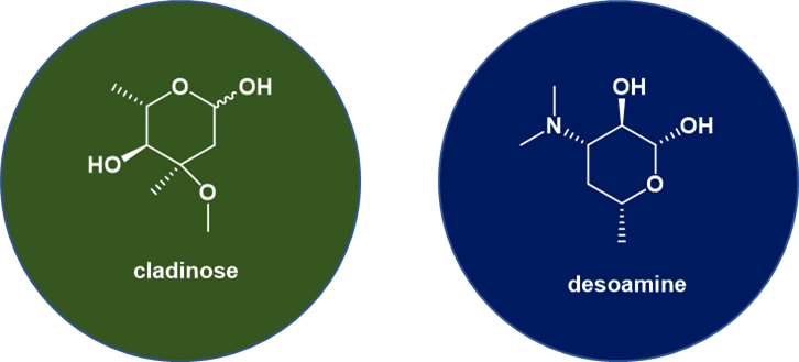 大環內酯(macrolides)類抗生素藥物綜述_包括_ery_細菌