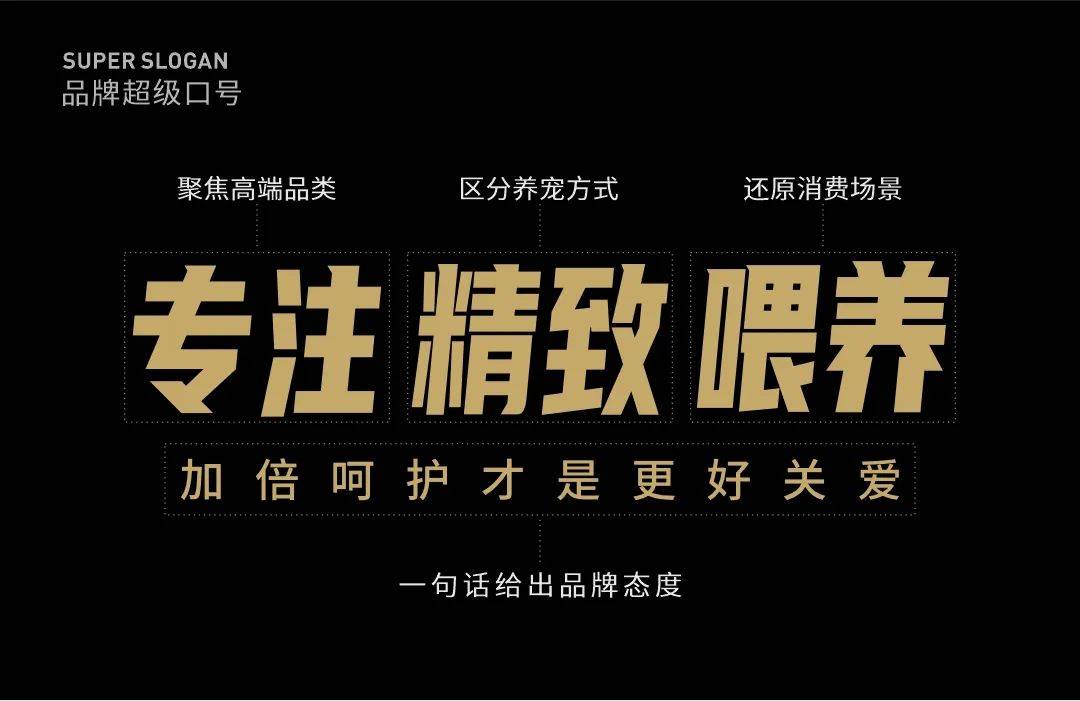 产品包装设计全案-打造高端宠物品牌形象-【鲸奇】_消费者_市场_裁骀