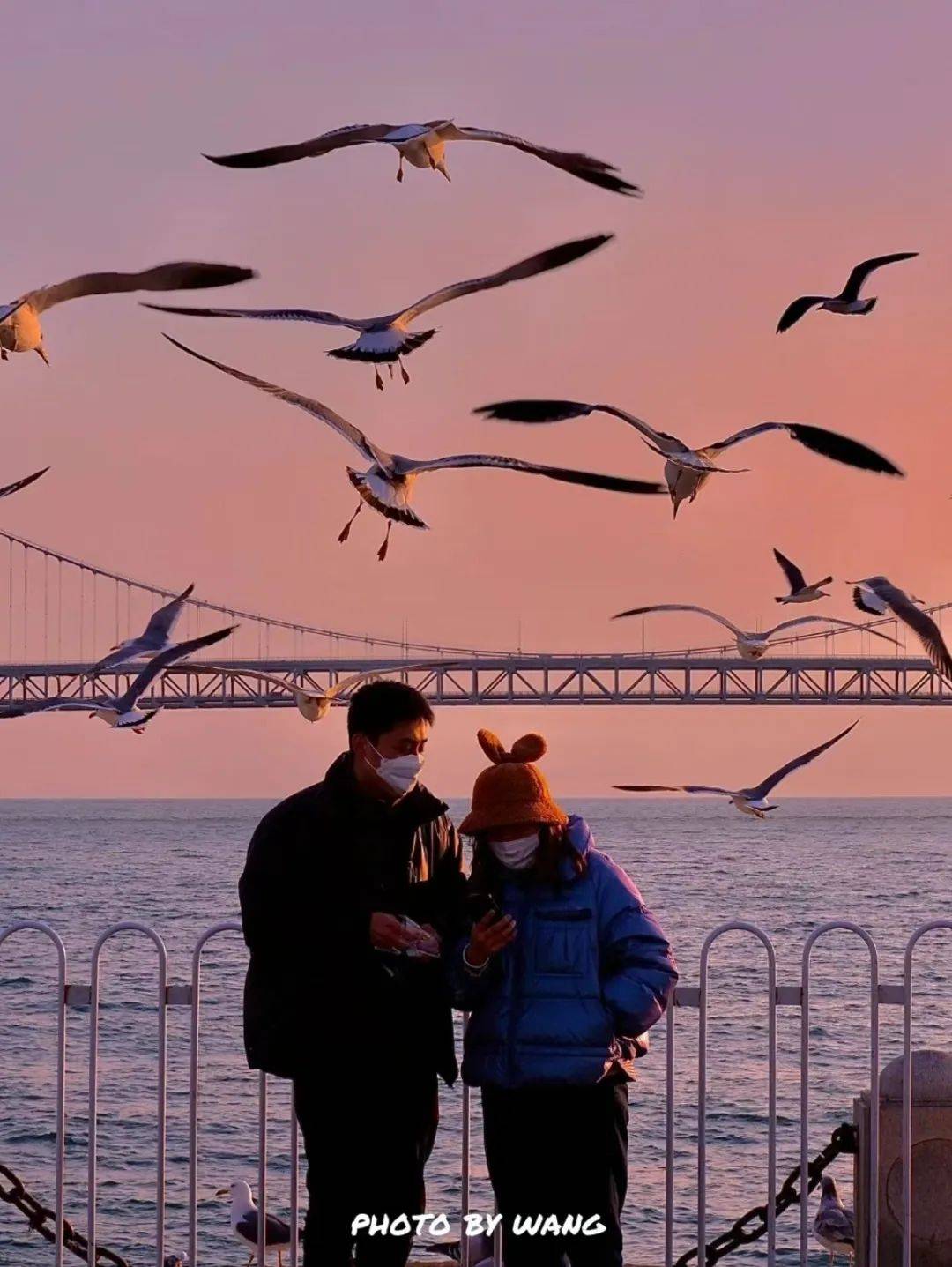 这里就是辽宁大连,一个冬天浪漫到骨子里的海滨老城,还曾入选全球最