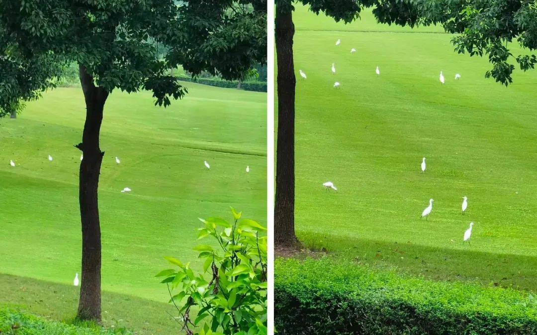 【售楼部】蒲江大溪谷|鹭岭|云上售楼处电话-地址-户型!最新详情解析!