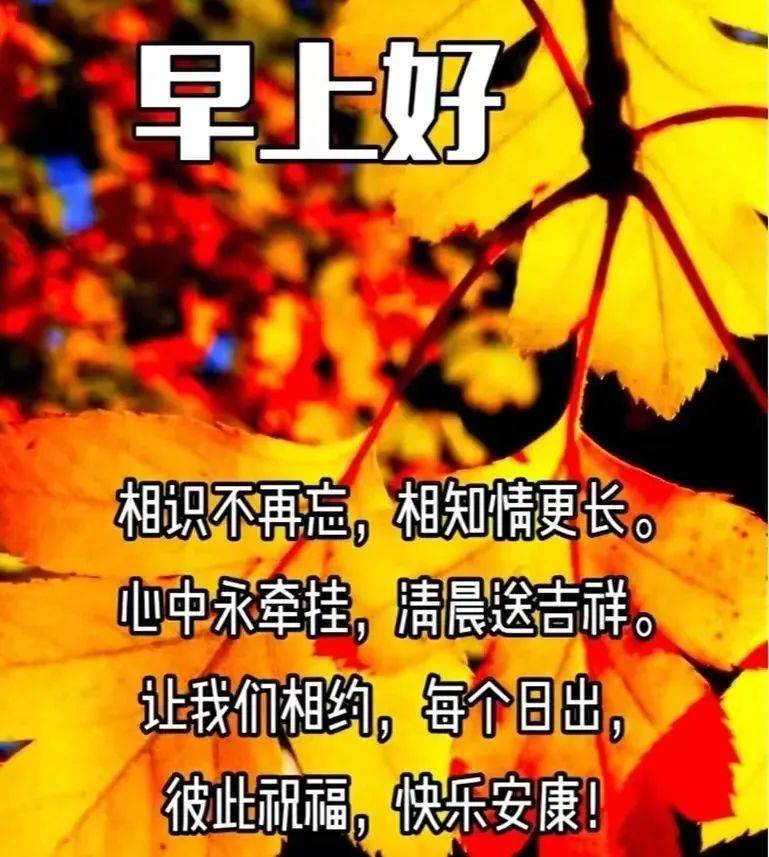 清晨友谊早安问候语图片文字