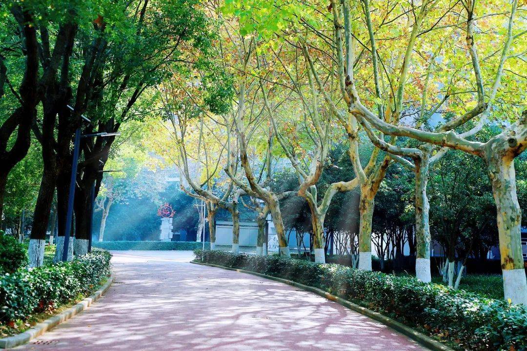 【河西61校园】校园的路,我们一起走过_教育_师生_未来