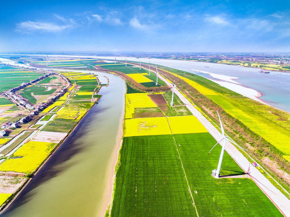 九州粮油杯"醉美江洲摄影大赛评选揭晓_作品_优秀奖_沙滩