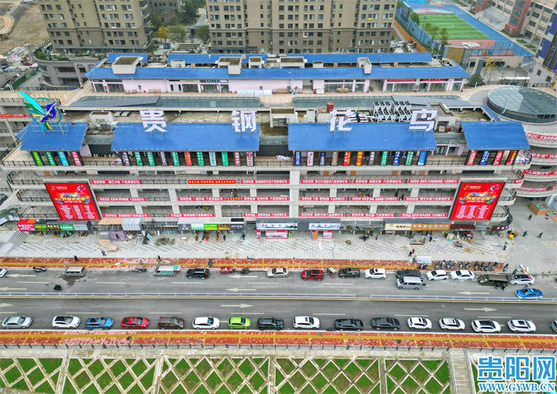 新贵钢花鸟市场今日试运营_购物_市民_张兴