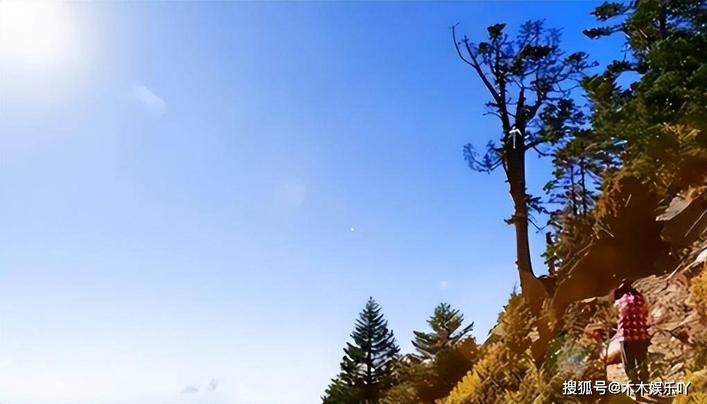 福建一對夫妻在山洞生活39年,妻子獸化,爪子和撕咬力比野獸還強_阿康