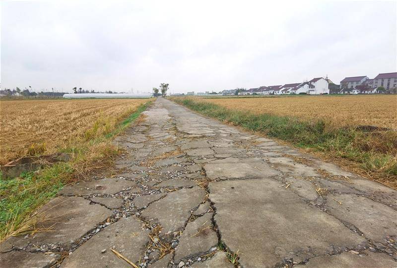 明明水泥路比沥青路更耐磨，为何高速路非要用沥青？到底哪个好？(图2)