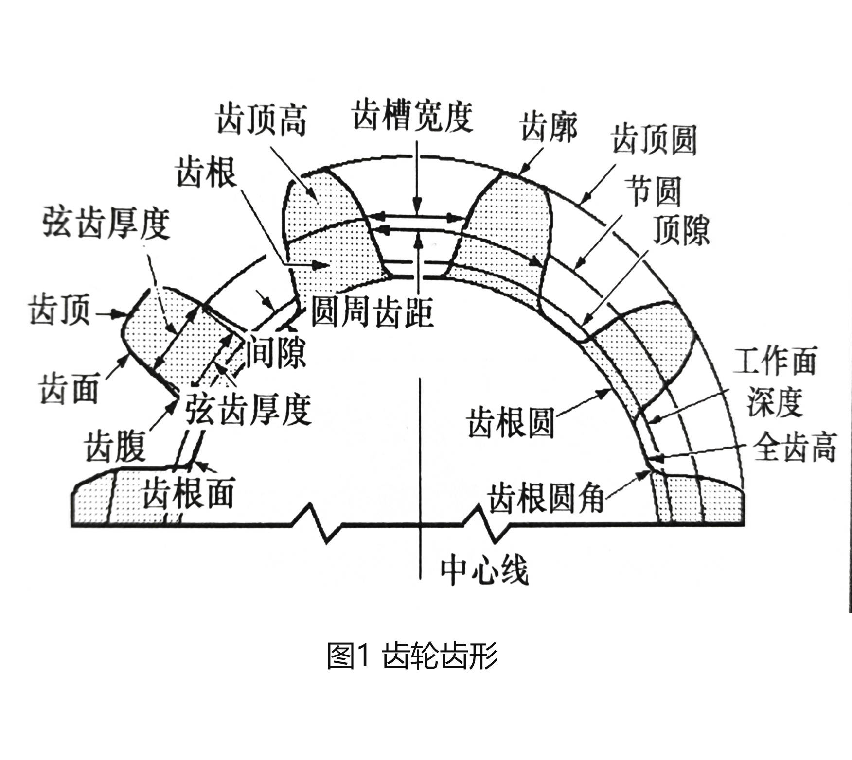 齿厚和齿槽宽图片