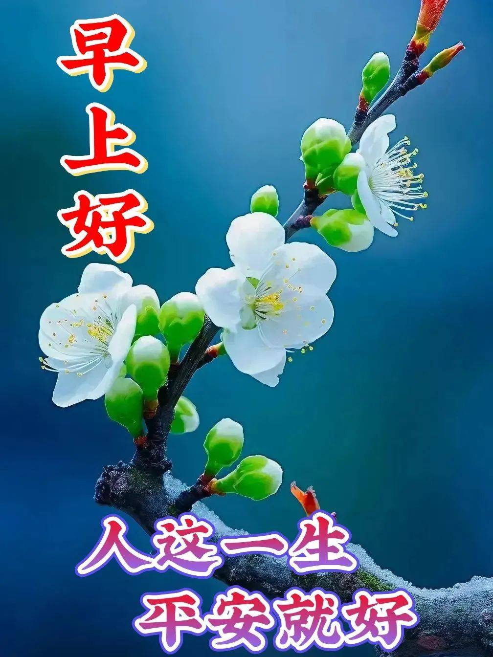 2023年12月6日星期三漂亮早上好图片祝福_短信_太阳_日子