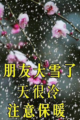 今日大雪节气最新版漂亮大雪早安祝福语表情图片大全问候语段句子