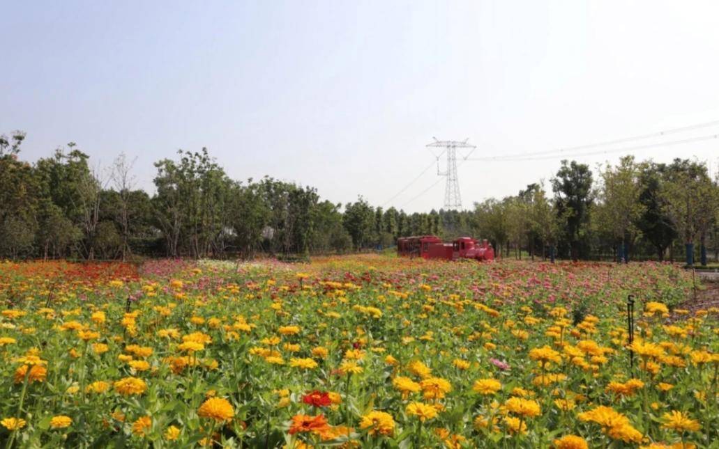 爱情花卉小镇图片