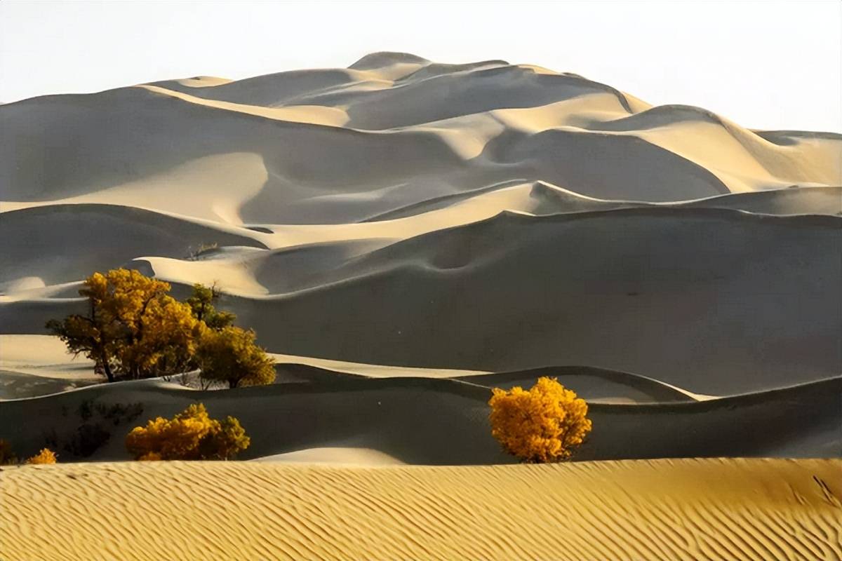 为何塔克拉玛干沙漠岿然不动?_的地区_地形_水汽