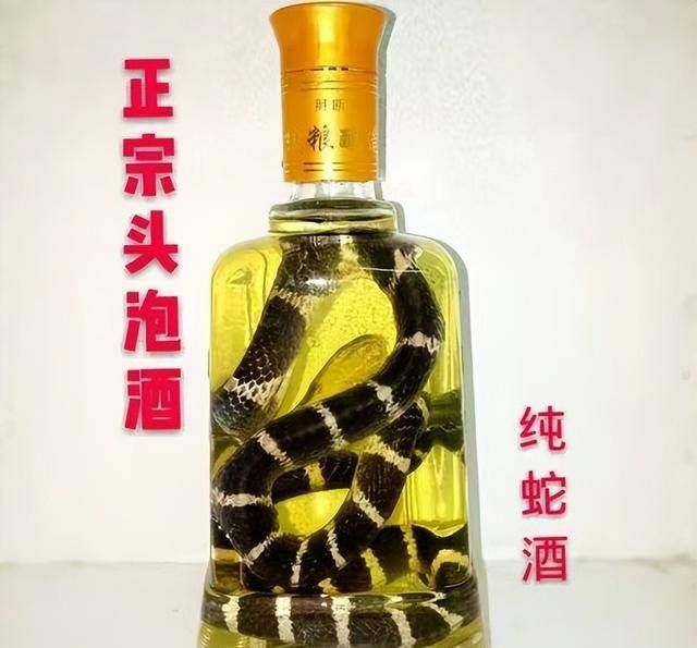 蛇酒变“毒酒”？男子挖出30年前埋的蛇酒，刚喝完身体就发生反应_手机搜狐网