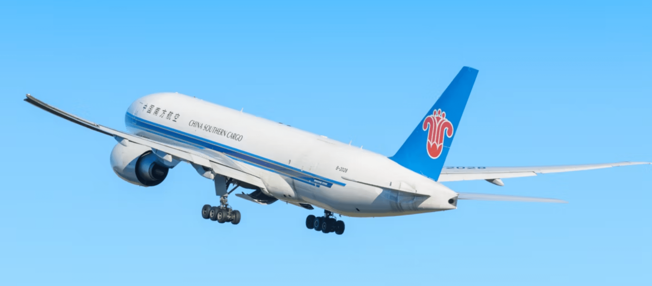 英国唯一的大熊猫搭乘中国南方航空的波音777货机返回成都双流