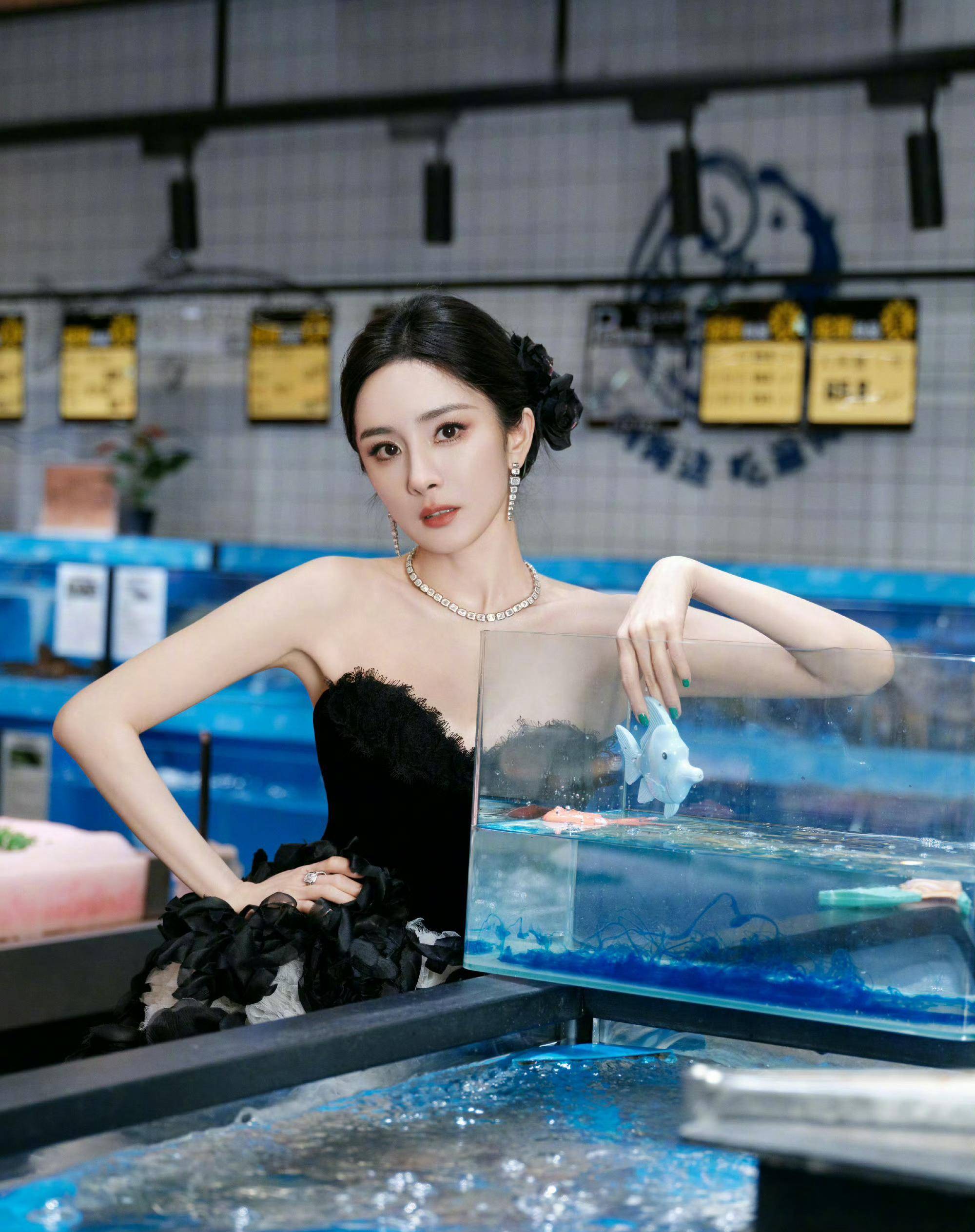 网传《酱园弄》女二是赵丽颖,杨幂对接辟谣客串_内容_娱乐_章子怡