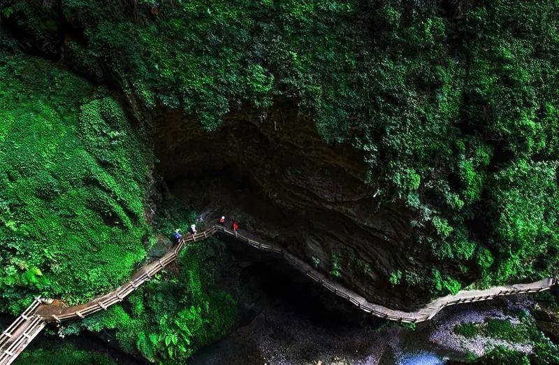 游重庆，找当地十大高端私人导游了解，到本地报团旅游报价是多少