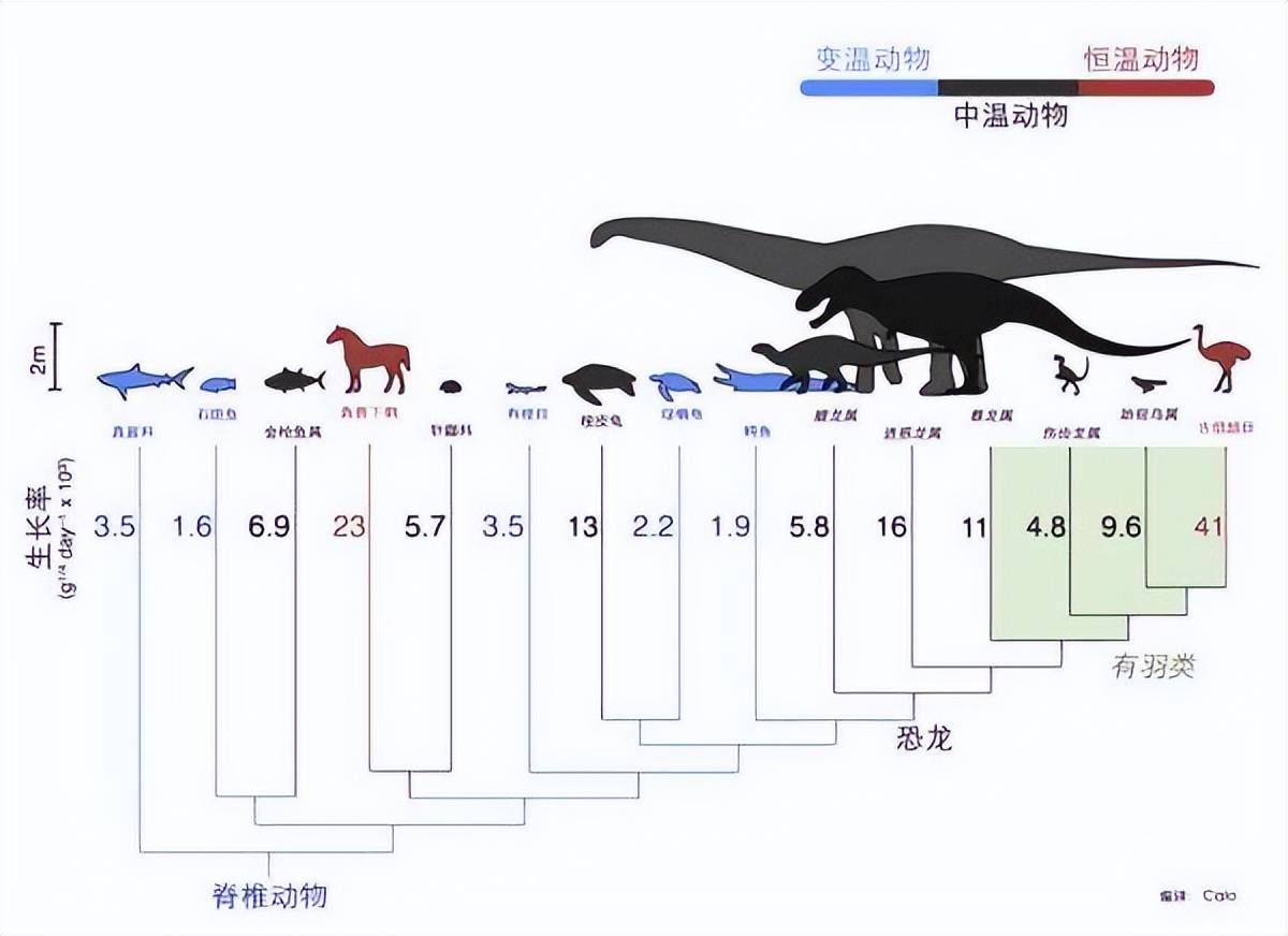 史前巨型动物为什么现在不存在了?