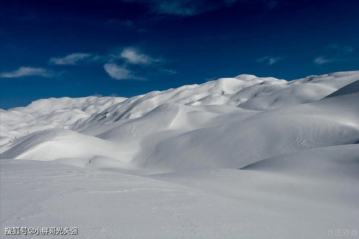 刀尖中白雪图片