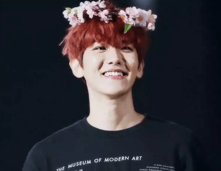 头戴花环的男明星,黄磊被叫"花姑娘",他美得像精灵王子_金泰亨_橘红色