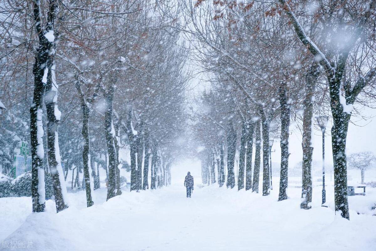 寒冬季节,淫雨霏霏,夹杂着乱雪,道路泥泞,景象苍凉,一名衣衫破旧的