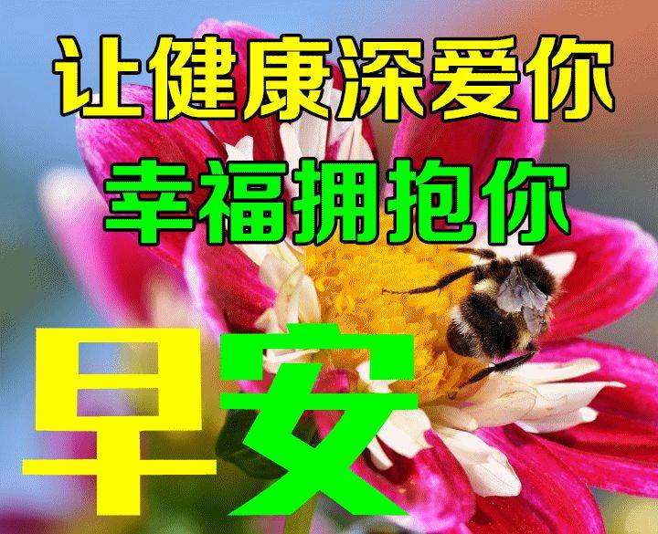 周三早上好最新版漂亮星期三早安祝福语表情图片大全问候语段句子