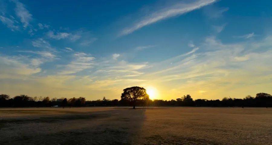 冰箱市场遭遇消费新周期拐点的碰撞-家电圈官网